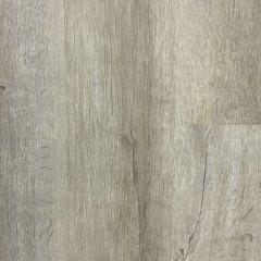 1581 Дуб Камелот Noventis Avalon